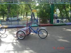 DSC09722.JPG